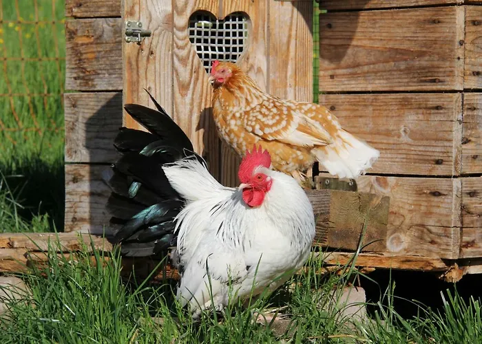 Villa Feldlhof Schladming