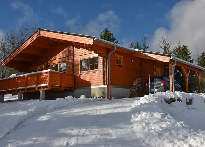 Villa Erzgebirgsholzhaus am Lugstein Altenberg 