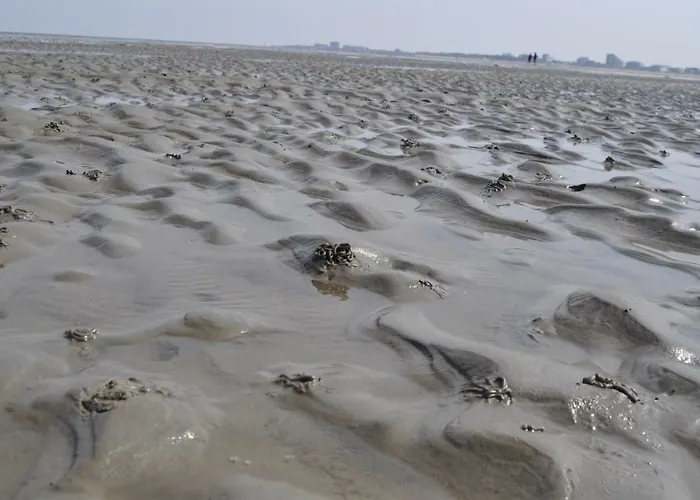 Ferienhaus Exner hinter dem Deich Cuxhaven