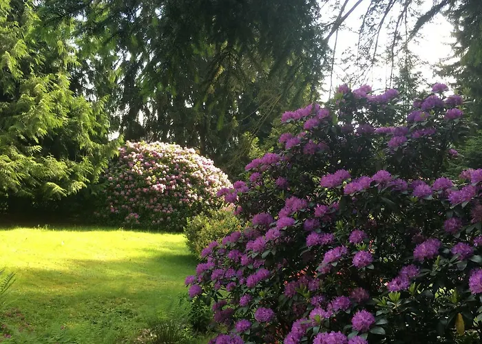 Villa Elfenstein Bad Harzburg