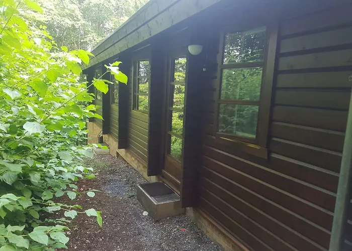 Bungalow; Haus 111 Ferienpark Twistesee, Bad Arolsen