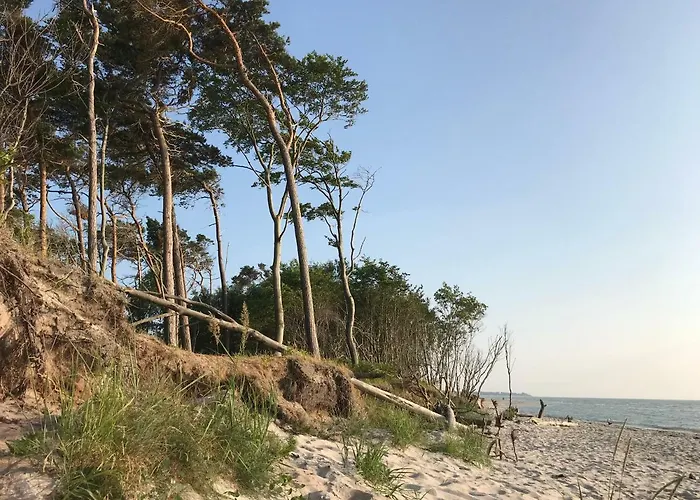 Backbord by Ferienhaus Strandgut Born