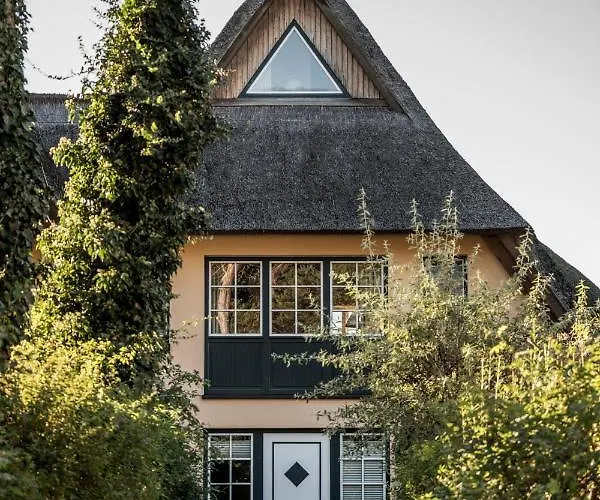 Ferienhäuser Dünenmeer Dierhagen